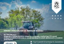 Mikro i mali zajmovi za ruralni razvoj