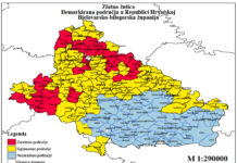 Obavijest vinogradarima: Sprječavanje širenja i suzbijanje zlatne žutice vinove loze