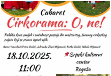 Promocija knjige i predstava za djecu u SKC u Rogoži