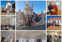 Učenici koji uče mađarski po modelu C u BBŽ, nagrađeni izletom