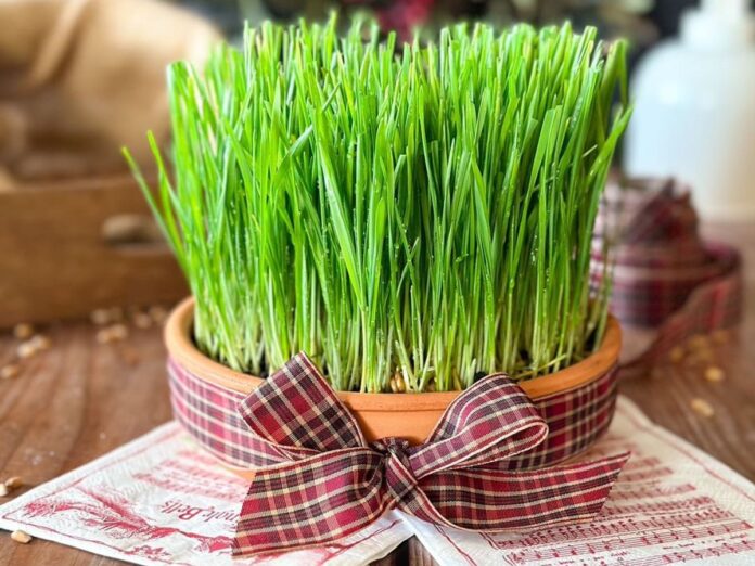 RlQktkpTURBXy8yYzM0MTQxOTE2ZDRlMzdiM2M1NGZjODU5MDBmYzI0ZC5qcGeRkwXNBLDNA4Q