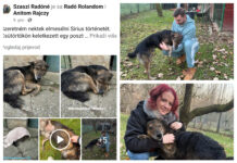 Vratio se Mrki! Iz Stare Plošćice do Szigetvára i natrag