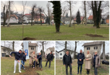 Kutina nastavlja ozelenjivanje javnih prostora