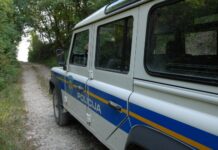 Policijske teme: U Bereku natovario drva i nestao