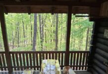 Uređeno izletište na Humci, postavljeni novi stol i klupe